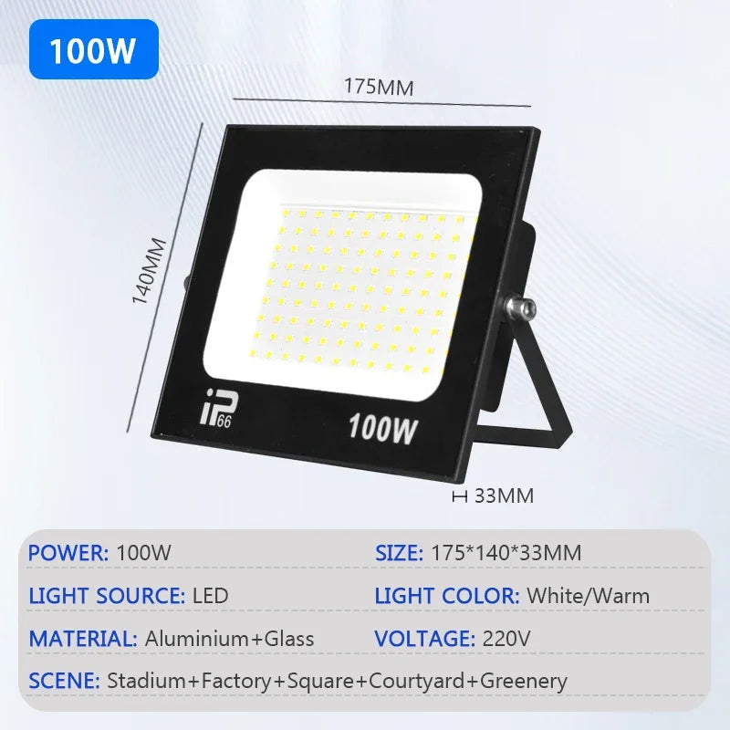 LED Floodlight Outdoor IP66 Waterproof Path