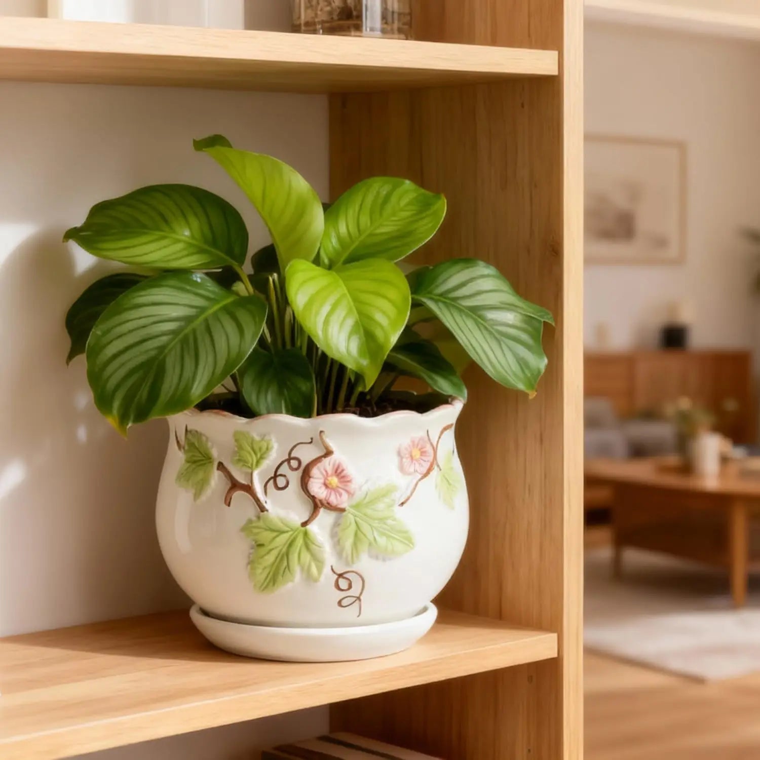 for Indoor Plant, Round Ceramic Plant Pots