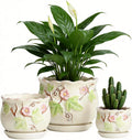 for Indoor Plant, Round Ceramic Plant Pots