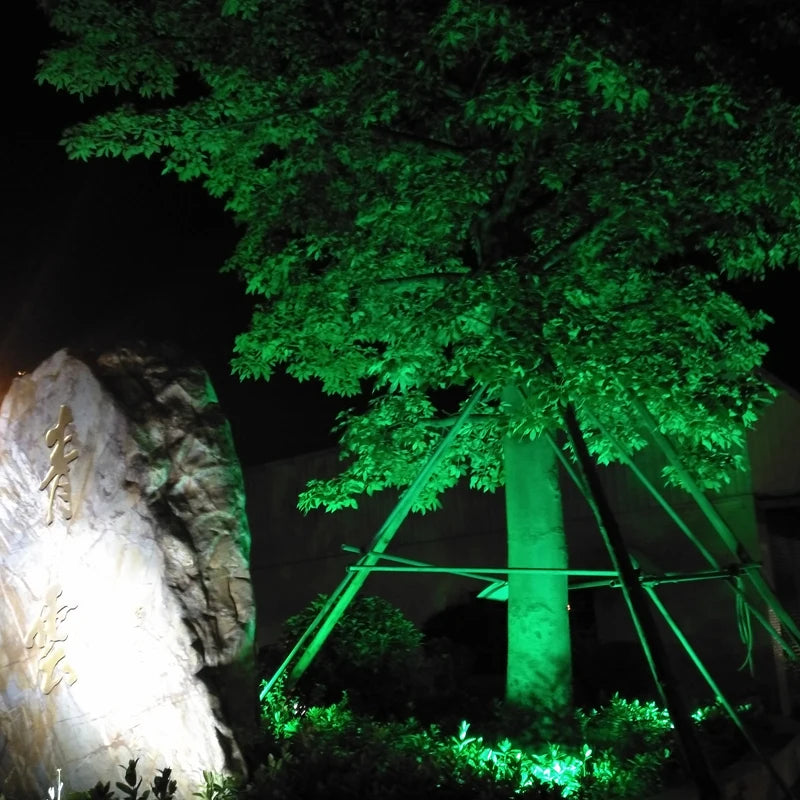 Outdoor LED Lawn Light
