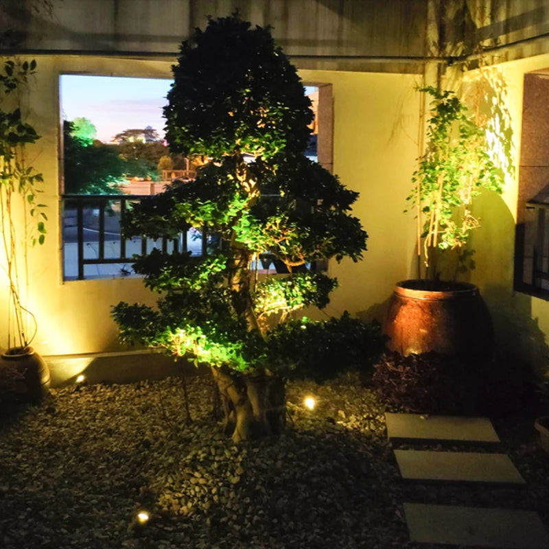 Outdoor LED Lawn Light