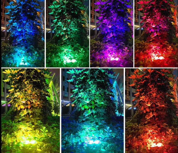 Outdoor LED Lawn Light